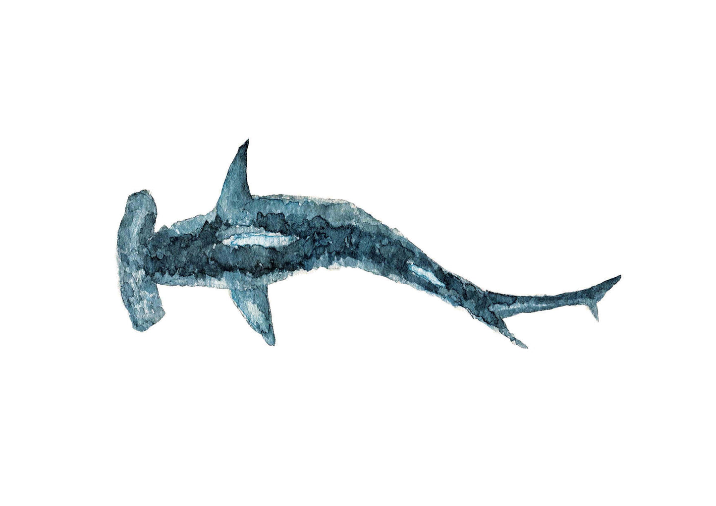 Ocean Animal Print Set