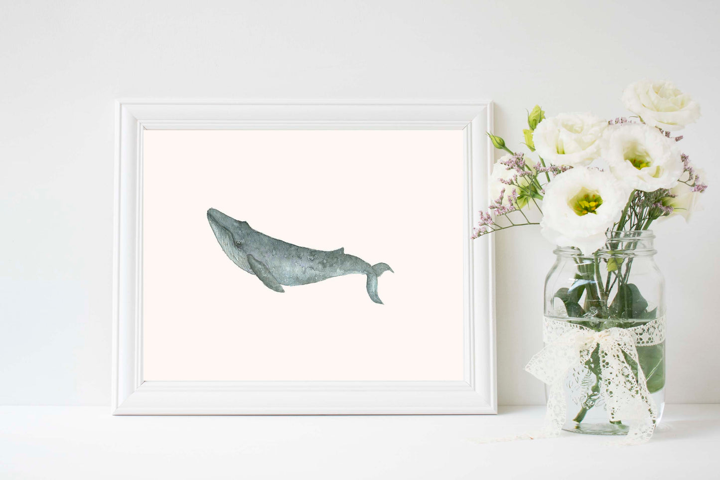 Humpback Whale