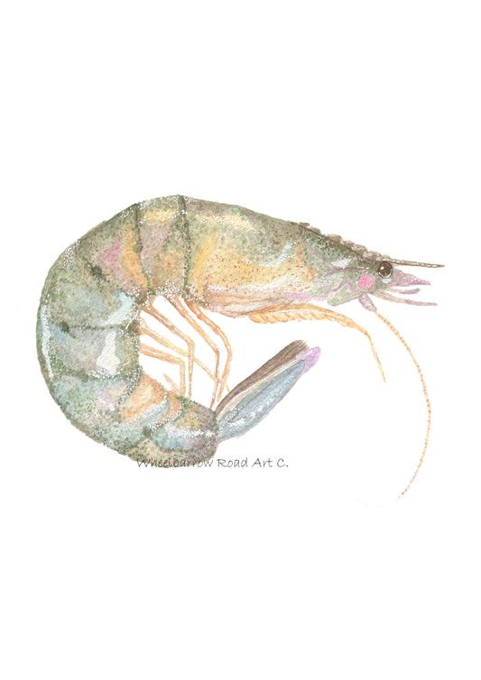 PRAWN NURSERY PRINT