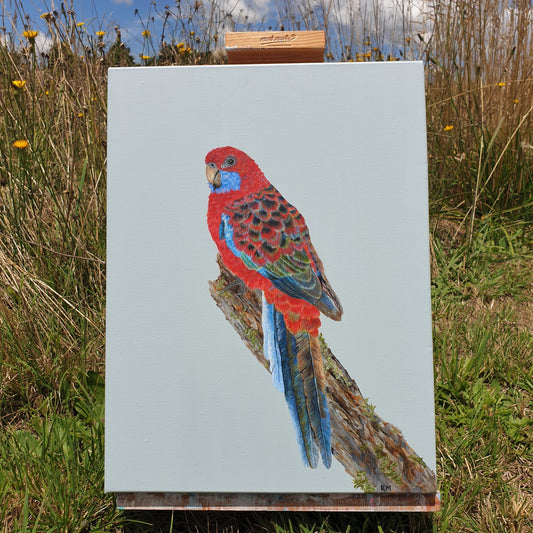 "Rocky" Crimson Rosella Painting
